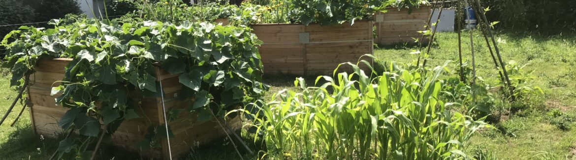 Hochbeet-Gemüsegarten auf dem Heimathof